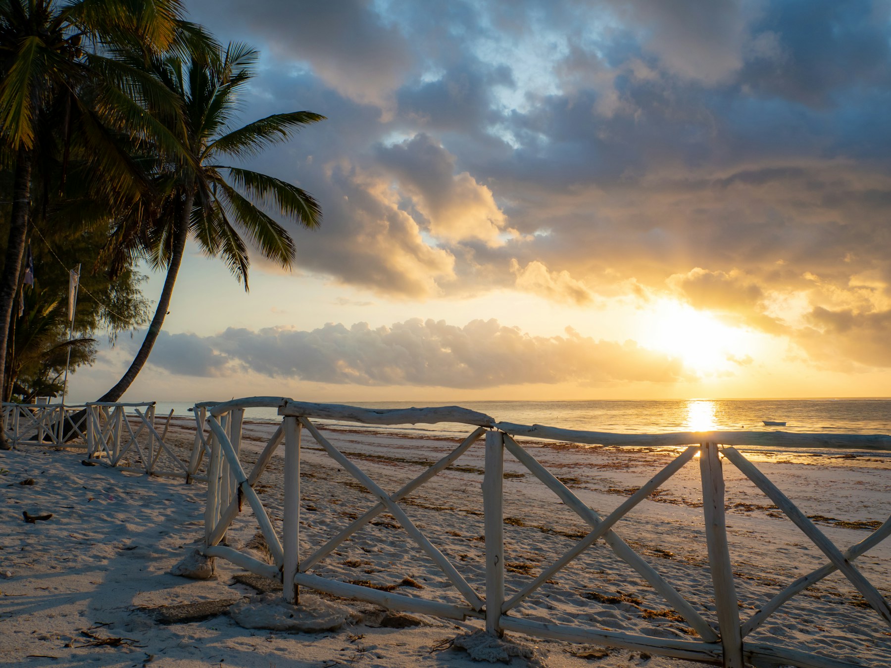 Palm-fringed shoreline at Diani Beach