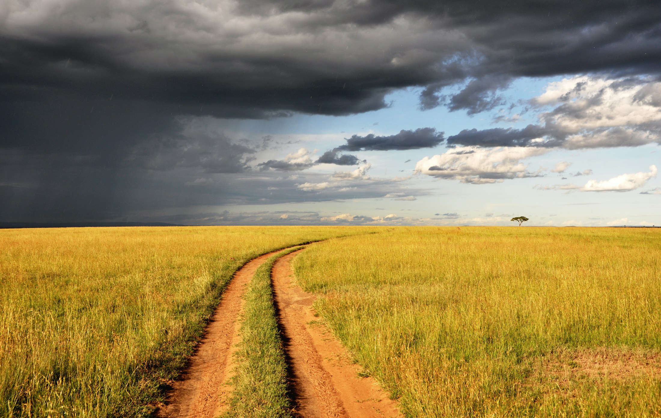 A track crossing the Maasai Mara beneath dramatic clouds
