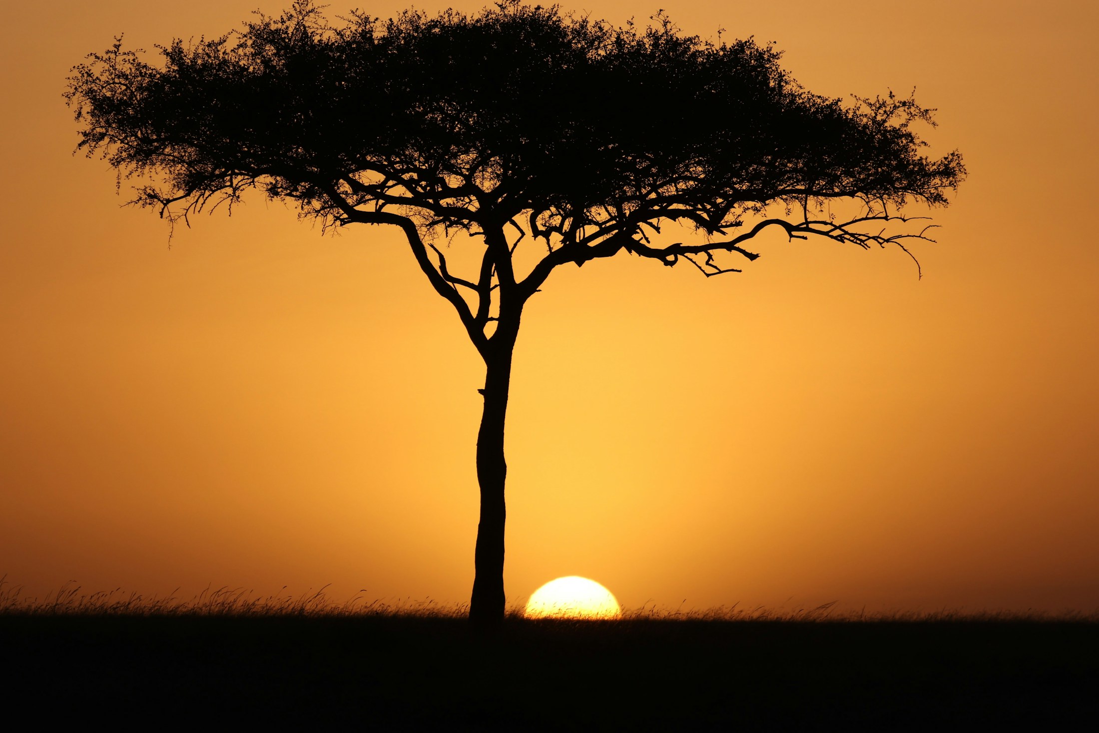 Golden sunset light over the Kenyan landscape
